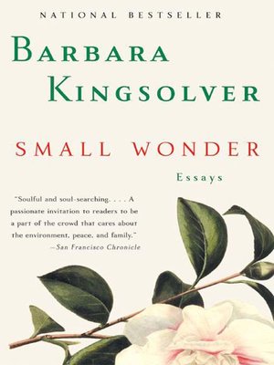 cover image of Small Wonder